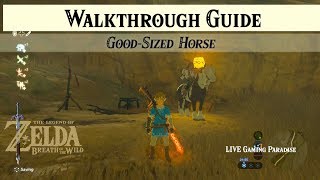 Breath of the Wild | Good-Sized Horse | Walkthrough Guide