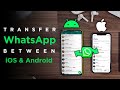 Transfer WhatsApp Messages From Android To iPhone & iPhone To Android | Easy WhatsApp Data Transfer