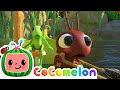 Row Row Row Your Boat! | CoComelon Animal Time | Animal Nursery Rhymes