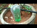 8 self watering ideas how to water the plants in holiday plastic bottles in gardening