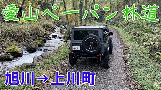 アイザンペーパン【愛山米飯】林道