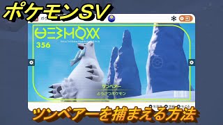 ポケモンＳＶ　ツンベアーを捕まえる方法！出現場所は？図鑑No.３５６　ポケモン図鑑を埋めよう！　【スカーレット・バイオレット】