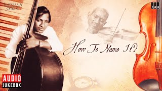 How to Name It ? | Audio Jukebox | Isaignani Ilaiyaraaja | Indian-Western Fusion | 80's Album