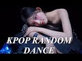 K-POP RANDOM DANCE/new&old/everyone knows/2024 edition/