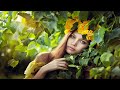 Enchanting Fantasy Music – Nymph of the Woods | Magical, Celtic