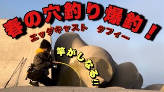 北海道春の穴釣り爆釣‼︎【エッグキャスト】