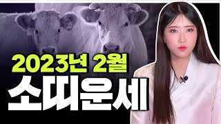 2023년 양력2월 대박나는 소띠 운세는?  [영금아씨김윤희]