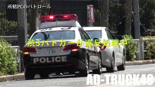 渋谷警察署管内でスケボーに注意する132自動車警ら隊？信号無視を捕獲する赤坂パトカー