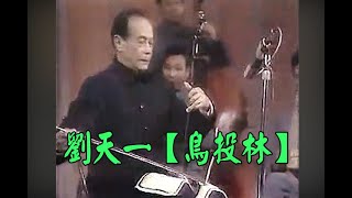 刘天一  广东音乐《鸟投林》