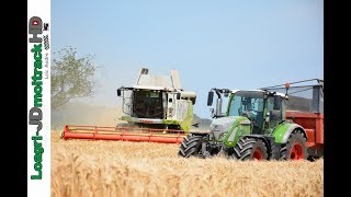 Moisson/Harvest 2017 | NEW Claas Tucano 570 !