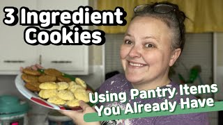 Last Minute Cookies With ONLY 3 INGREDIENTS || Great Depression Recipe