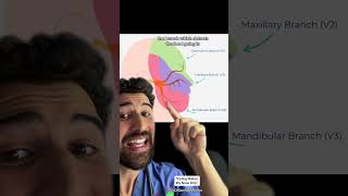 “Eating Makes My Nose Drip” #science