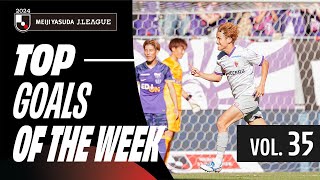 Spectacular Volley! | 2024 J.LEAGUE Top Goals | Vol. 35