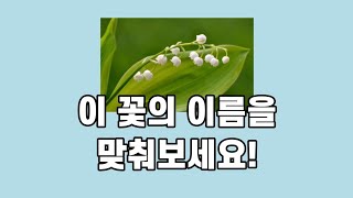 이번엔 쉽지않을거예요! 난이도 5단계!!!