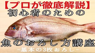 【プロが徹底解説】初心者のための魚のおろし方講座 - 基本の3枚おろし -