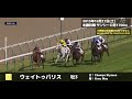 【競馬】ジャパンカップ2020 出走馬の新馬戦を振り返る【アーモンドアイ キセキ コントレイル デアリングタクト グローリーヴェイズ カレンブーケドール】