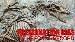 Preservation Bias in the Fossil Record