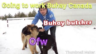 Going to work vlog 2 BUHAY CANADA