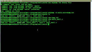 shellcode demo 1