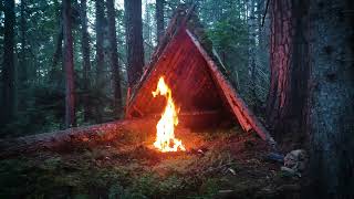 Building Bushcraft Survival Shelter in the Woods, Solo Camping