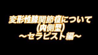 東京膝診る研究会〜第２回ランチオフセミナー セラピスト編〜