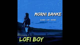Morni Banke || Badhaai Ho || [Slowed+Lofi+Reverb] || lofi boy