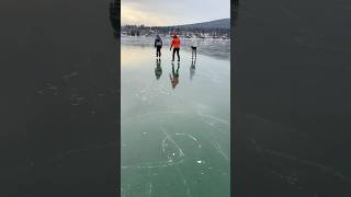 Wolverine News Network special edition: Wild Ice Montana reports live from Whitefish Lake