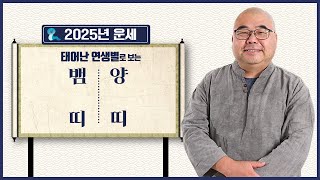 2025년 띠별 운세 뱀띠 양띠 | 00띠 얕은 수작 부리다간 큰~~~일납니다.