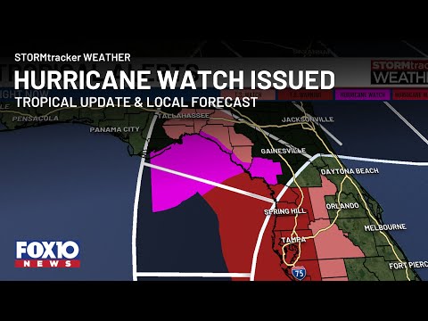 Se forma la Depresión Tropical 4, se han emitido alertas de huracán para partes de la costa de Florida…