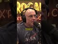 mel gibson u0026 joe rogan they spent $24 billion last year on the homeless.