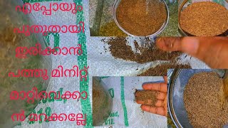 ജീരകം ക്ലീൻ ചെയ്തു വെച്ചാൽ #jeerakam frass #nishakitchen #malayalam video 844