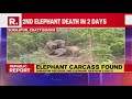 chhattisgarh surajpur records 2nd elephant death in 2 days