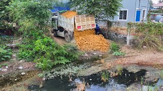 New project to clear rice fields, bulldozer, MITSUBISHI MINI bulldozer \u0026 5ton with dump truck