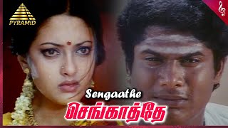Sengatrae Video Song | Taj Mahal Tamil Movie Songs | Manoj | Riya Sen | AR Rahman | Pyramid Music