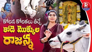 కోరిన కోరికలు తీర్చే కోడె మొక్కుల రాజన్న | Vemulawada Temple Full Tour | Rajarajeshwara Swamy | P Tv