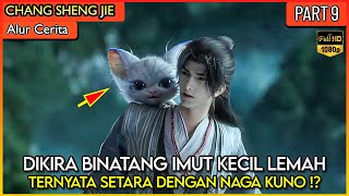 BINATANG IMUT LEMAH INI TERNYATA SETARA DENGAN DEWA NAGA !?  - Donghua #CSJ PART 9