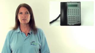 NEC IP2AT-12TXD Phone Overview