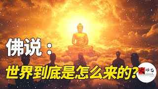 人是怎麼來的? 世界是怎麼來的？ 凡人意識vs佛性靈覺，探祕佛家“第一義”！成佛的終極祕密，自律的終極祕密。