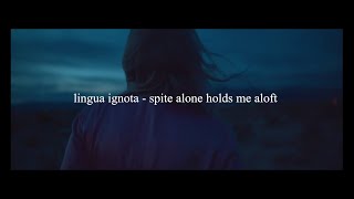 lingua ignota - spite alone holds me aloft // español