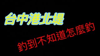 ［阿凱釣魚去］釣到不知道怎麼釣