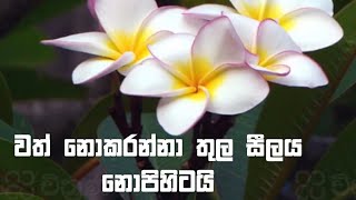 වත් නොකරන්නා තුල සීලය නොපිහිටයි.