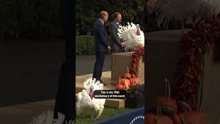 ‘Congratulations, birds’: Biden pardons Thanksgiving turkeys