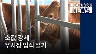 [뉴스리포트]소값 강세.. 입식 열기 뜨거워 181002