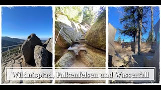 Wochenendtrip im Schwarzwald Wildnispfad, Falkenfelsen, Kloster Allerheiligen