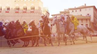 Siena. Palio into the heart