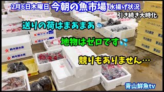 【時化継続中】【水揚げ無し】【コメント紹介】今朝の魚市場2月6日木曜日の水揚げ状況