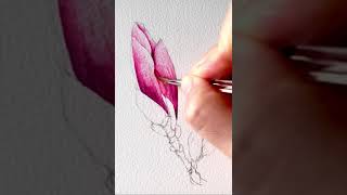 [베리현 수채화 short]목련 그리기| Watercolor painting | Watercolor flower | Watercolor tutorial magnolia 수채화 초보