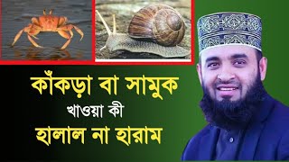 কাঁকড়া বা সামুক খাওয়া কী জায়েজ। Mizanur Rahman Azhari. এসো দিন শিখি।