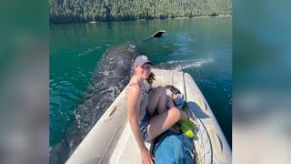 Wild whale encounter in B.C. lasts two hours