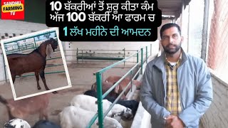 10 ਬੱਕਰੀਆਂ ਨਾਲ ਸ਼ੁਰੂ ਕੀਤਾ ਕੰਮ ਅੱਜ ਕਮਾ ਰਿਹਾ 1 ਲੱਖ ਮਹੀਨੇ ਦਾ // ਸਿਰਸੇ ਜ਼ਿਲ੍ਹੇ ਦੇ ਤਾਰੂਆਣੇ ਪਿੰਡ ਦਾ ਫਾਰਮ